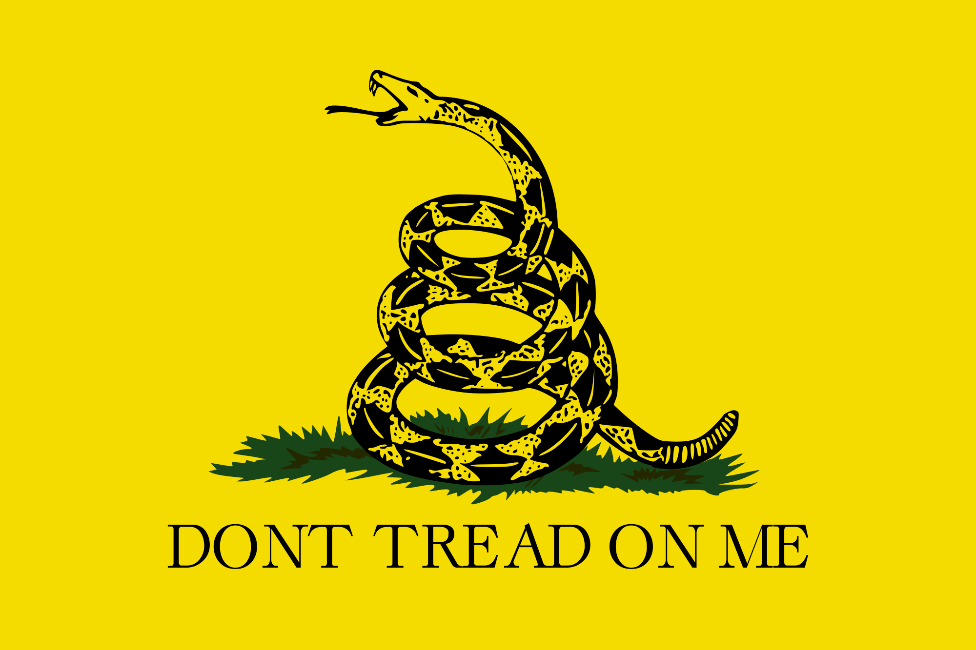 http://www.weapon-blog.com/wp-content/uploads/2010/04/Gadsden_flag.png