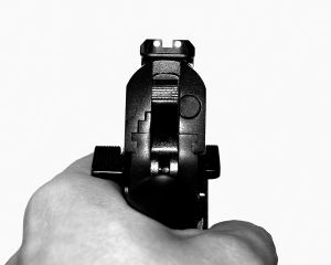 Illuminated Iron Sights